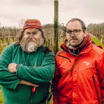 Ambacht in beeld: wijnbouw - Herman & Alexander